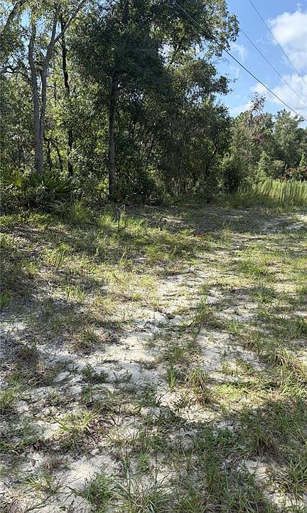 2nd image of 2199 N STAMPEDE DRIVE LOT 11