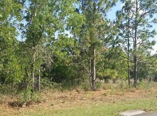 9271 N Hawkweed Dr, Citrus Springs, FL 34433