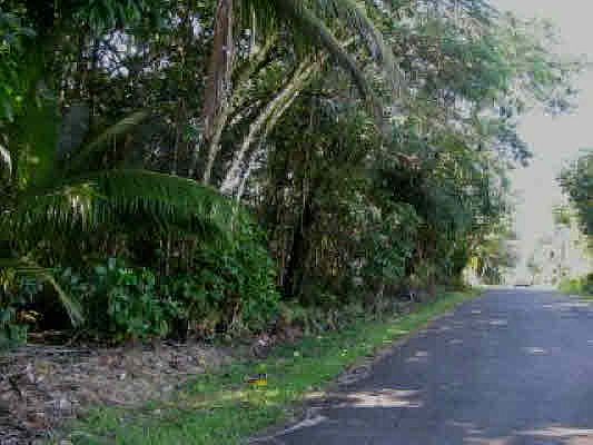 1st image of N Malolo St