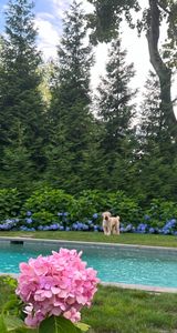 32 Sasco Creek Road, Westport, CT, 06880