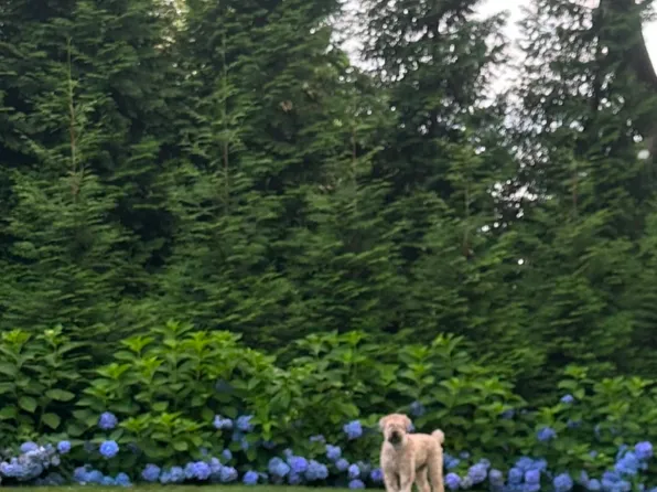 32 Sasco Creek Road, Westport, CT 06880