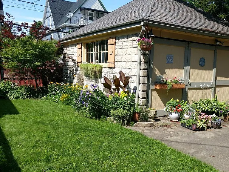 Back yard