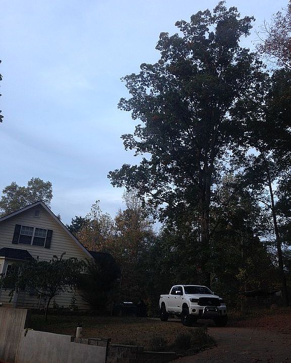 2nd image of 120 Giles Rd