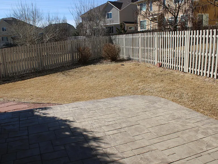 Backyard 4