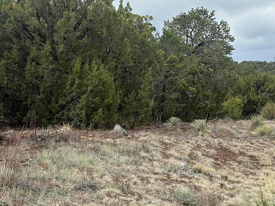 2nd image of 33 N3317