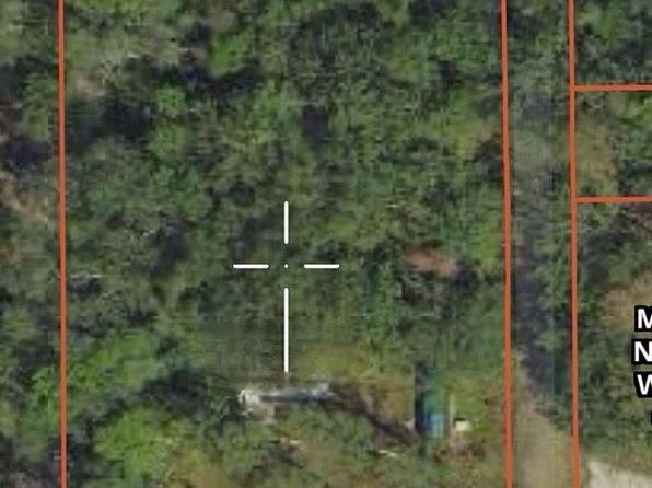 8811 S Greenwood St, Baldwin, MI 49304