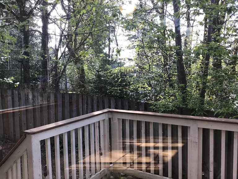 back deck