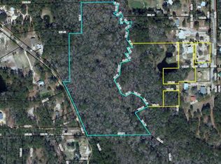 NE Bob Sanders Rd, Hosford, FL 32334