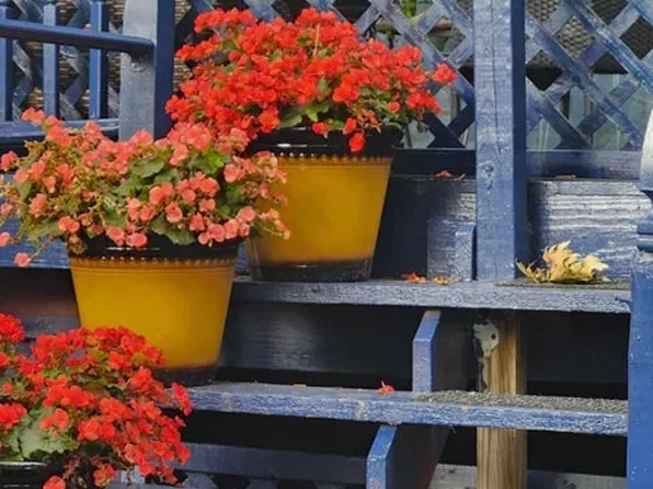 54 City Boulevard image 42 of 45