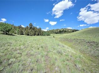 LOT 24 Bugler Ln, Guffey, CO 80820