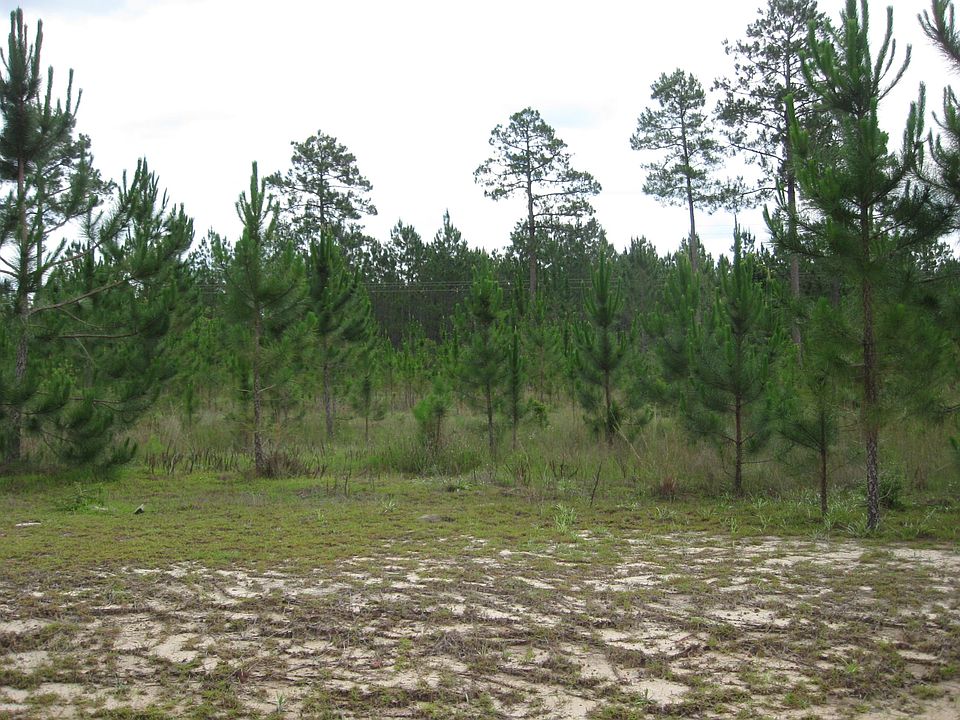 1st image of Xxxx Gulf Pines Ct