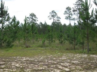 Xxxx Gulf Pines Ct, Freeport, FL 32439