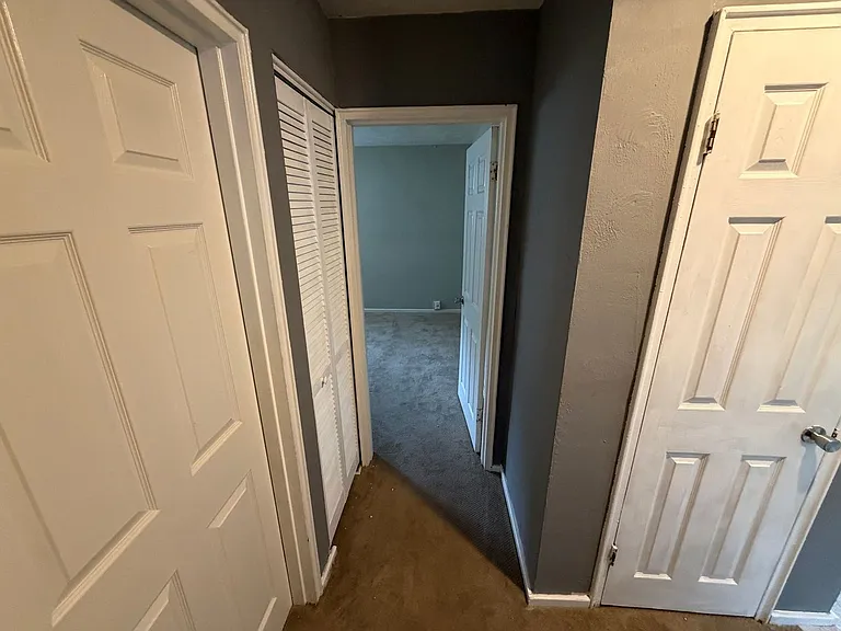 5122 Ancil Rd — Photo 5