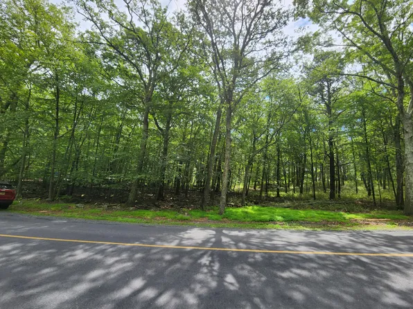 Mallard, Bushkill, PA 18324