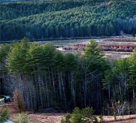 2nd image of 1.85 acres, Lot 154 Rocky Falls Lane #154