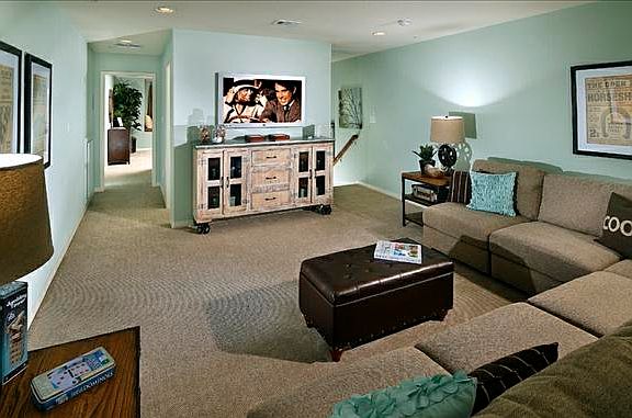 Bonus room with couch and entertainment center