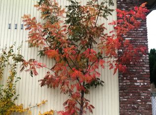 1116 Niantic St #3, Medford, OR 97501