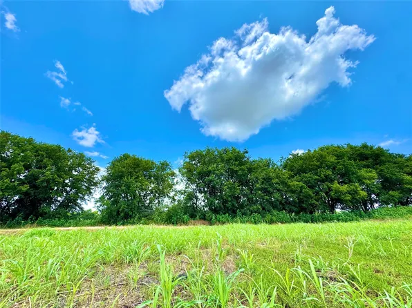 LOT 12 County Road 590, Nevada, TX 75173