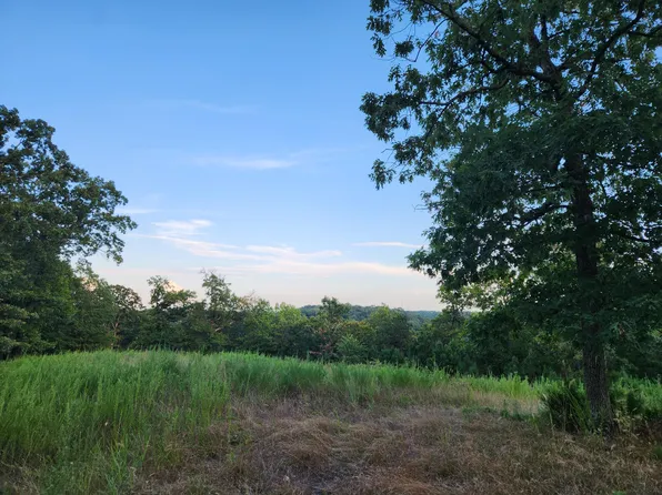 000 Peace Lane, Ridgedale, MO 65739