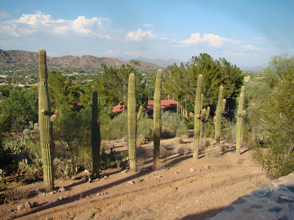 5338 E San Miguel Ave, Paradise Valley, AZ 85253 | Zillow