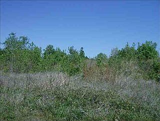 2nd image of 624 County Road 3590