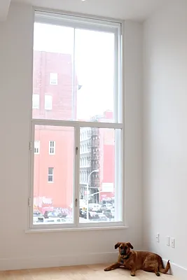 Rented by Level Group | media 42