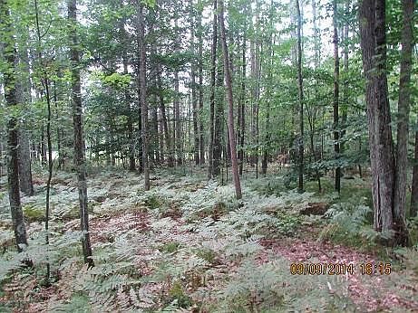 1st image of White Pine Dr Lot 6