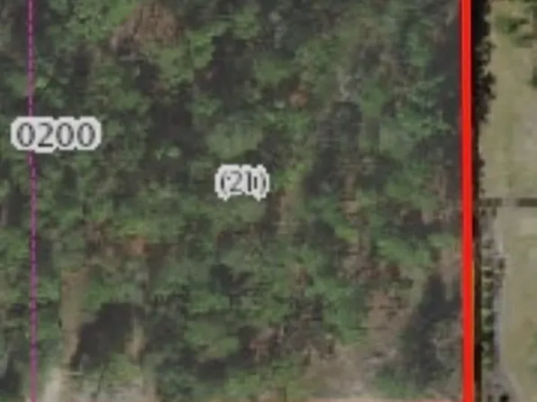 4213 W Pansy Ln, Beverly Hills, FL 34465