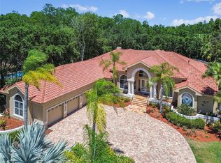 1365 Forestedge Blvd, Oldsmar, FL 34677