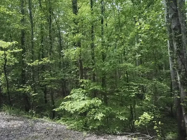730 Wayne Smith Dr, Saulsbury, TN 38067