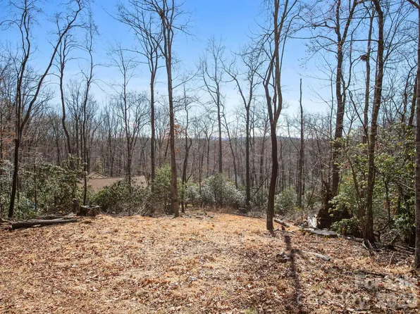 0 Alpen Rose Way Lot 2, Mills River, NC 28759