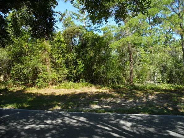 119 Oak Village Blvd Lot 44, Homosassa, FL 34446
