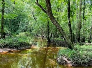 1268 Slaughter Rd, Buena Vista, GA 31803