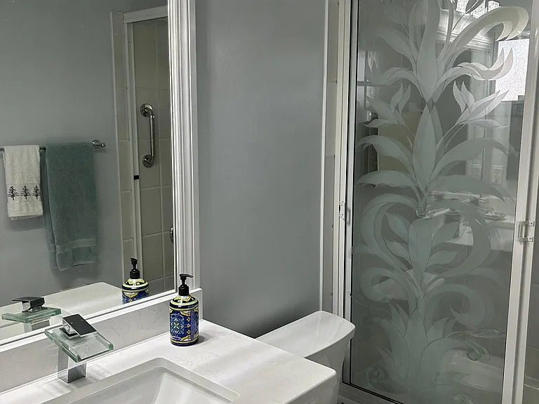 Guest Bath tub/shower
