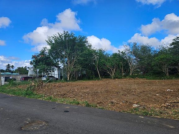 4th image of Bo Guayabo