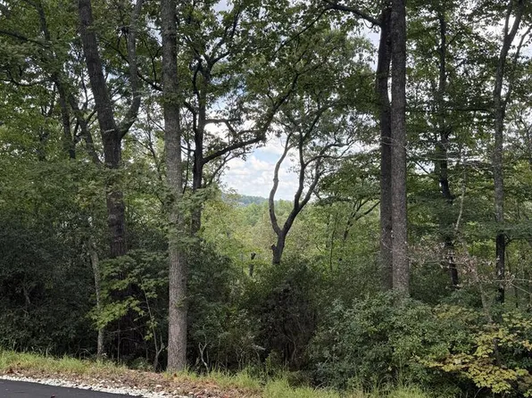 13 Sapphire Rdg, Blue Ridge, GA 30513
