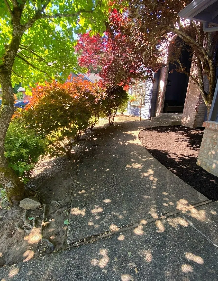 5 bed, 2580 sqft, $5,000 — Photo 3