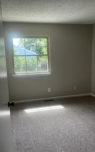 443 Hill Meadow Dr — Photo 13