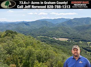 9999 Cindy Cove Rd, Robbinsville, NC 28771