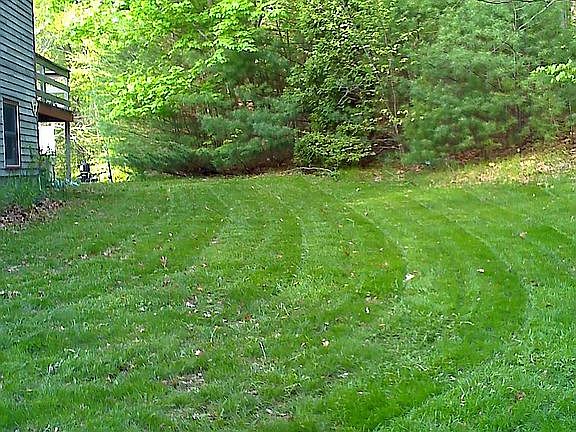 Side yard