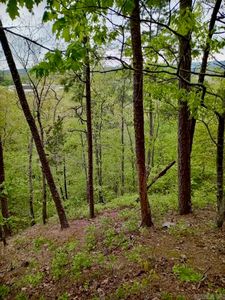 0 Caddo Hills Trl, Caddo Gap, AR, 71935