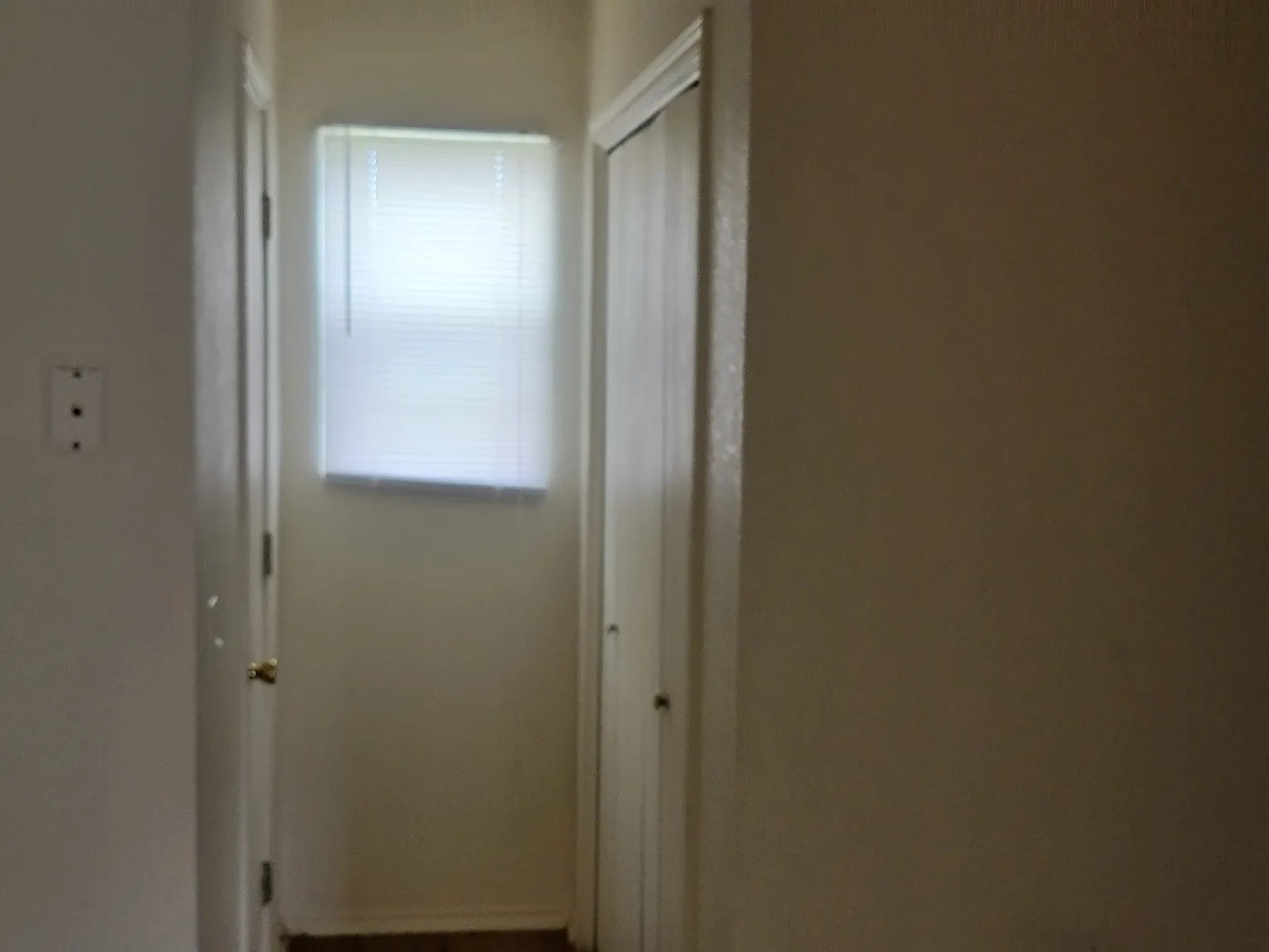 4305 Abigail Drive - B — Photo 4