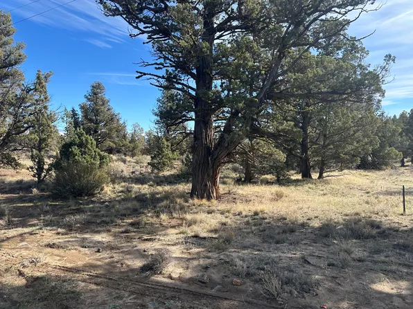 SE Renegade Loop Lot 2, Prineville, OR 97754