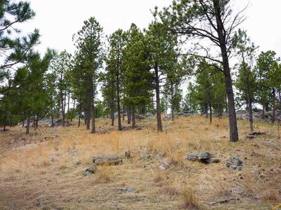 2 Hour Rd, Custer, SD, 57730