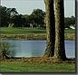 1st image of 13417 Meadow Golf Ave