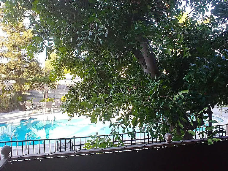 Jaffa Terrace — Photo 22