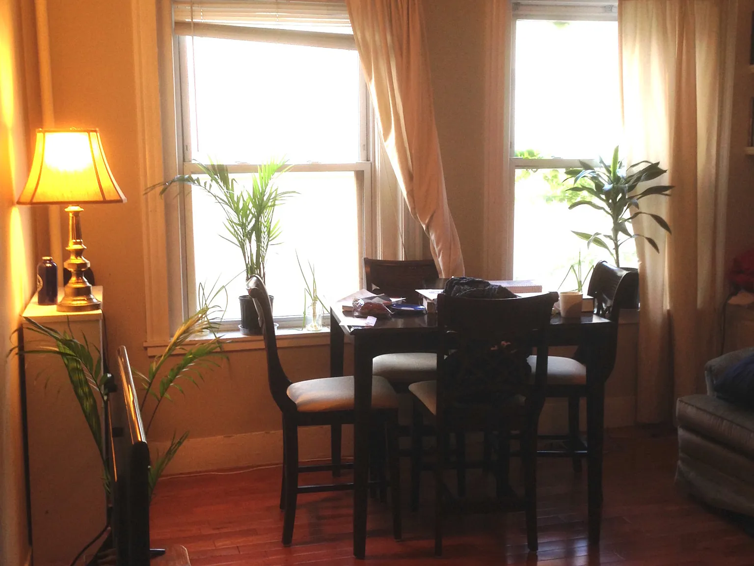 1 bed, 550 sqft, $2,900 — Photo 3