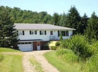 3361 Rauber Hill Rd, Wellsville, NY 14895