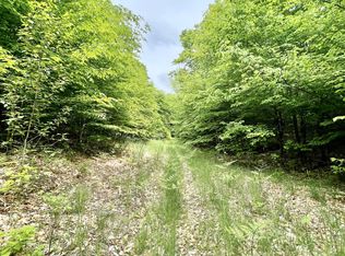 McCormick Lake Rd, Atlanta, MI 49709