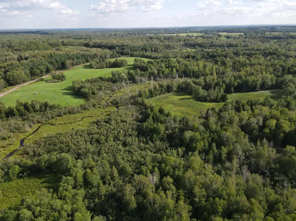 Nn V L 60th Ave, Marion, MI 49665